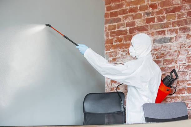 Best Airborne Mold Testing  in Peculiar, MO